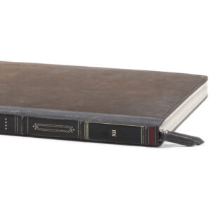 Twelve South BookBook Vol. 2 for 13